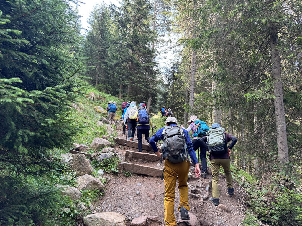 アドルフ・ムンケル・トレイルの樹林帯