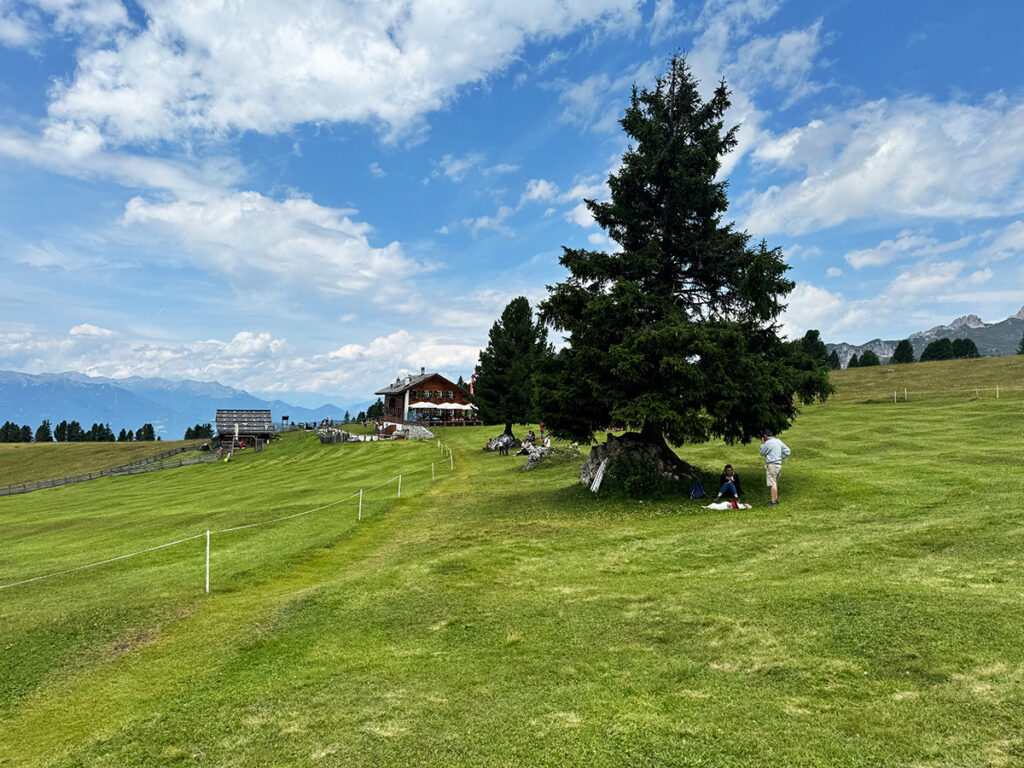 山の上のアルム